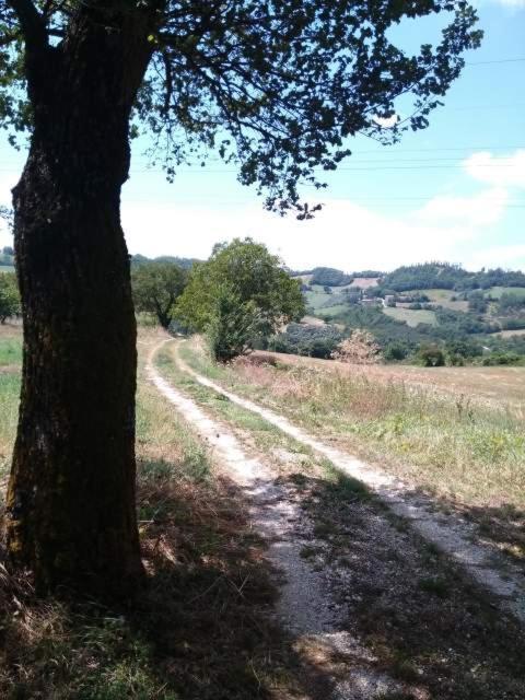 Casa Vacanze Campo D'Arco Nocera Umbra Exterior photo